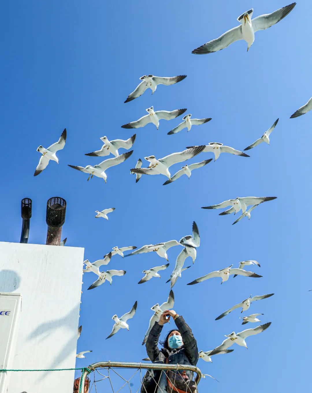 春天里的第一场露营安排,春天的第一次露营开始了
