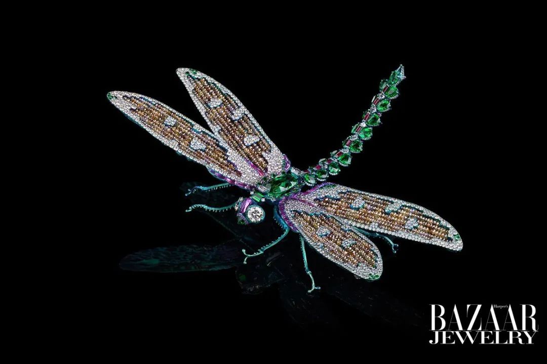 东西方大师都爱“小蜻蜓”，背后到底有什么大秘密？