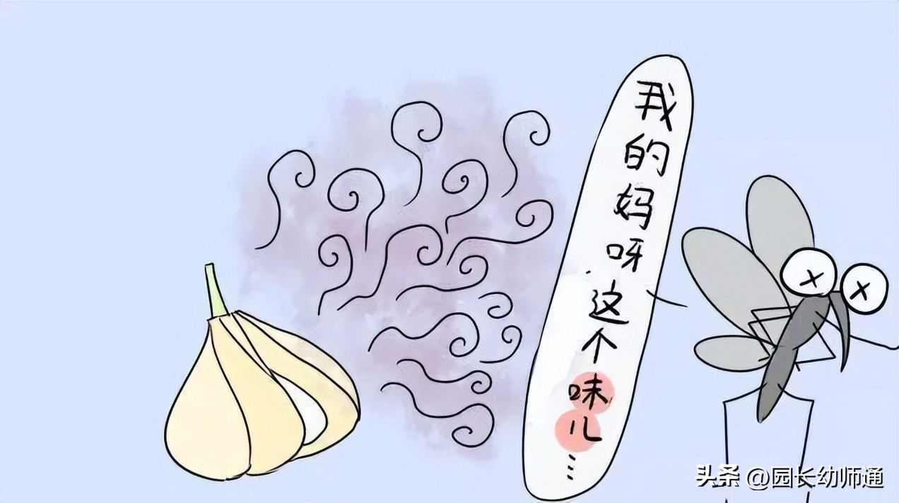 幼儿园防蚊策略,健康环保的7种驱蚊绝招