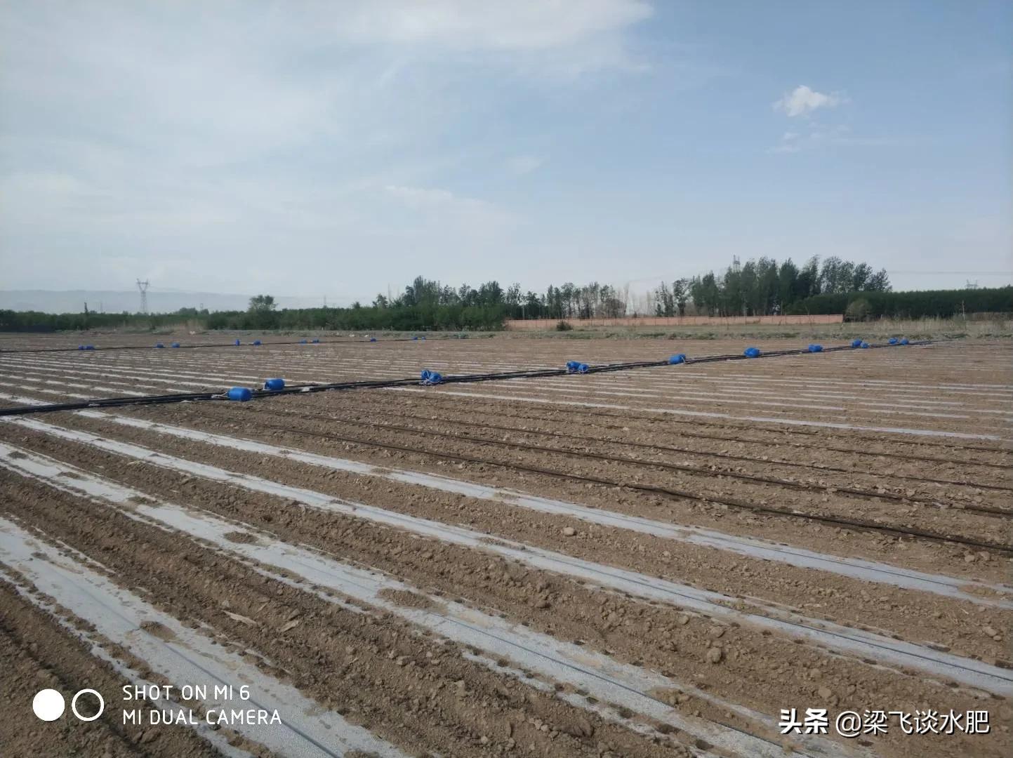 黏质土沙质土和壤土的区别与联系,比较干土和沙土土壤温度的差异