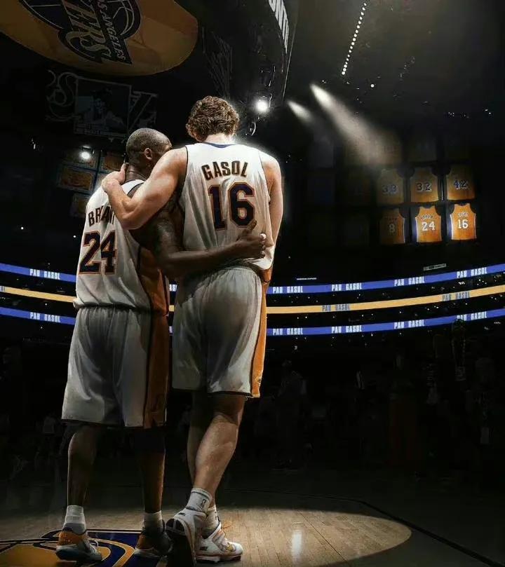 加索尔湖人球衣退役瓦妮莎,湖人队退役大加索尔球衣