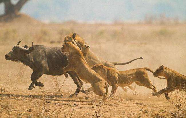 在非洲打工是怎样的体验？