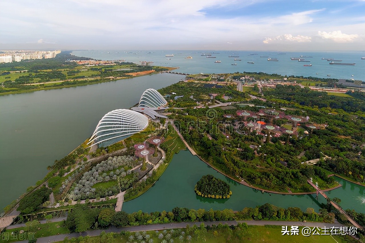 新加坡7个冷知识英文,世界上养猫最多的国家