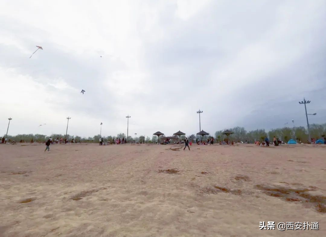 西安最大花海公园,西安周边的自然景观公园