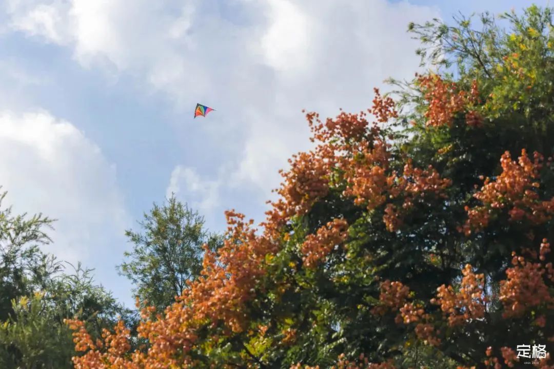 深圳地铁能直达的免费景点宝安区,深圳地铁直达免费玩的海滩