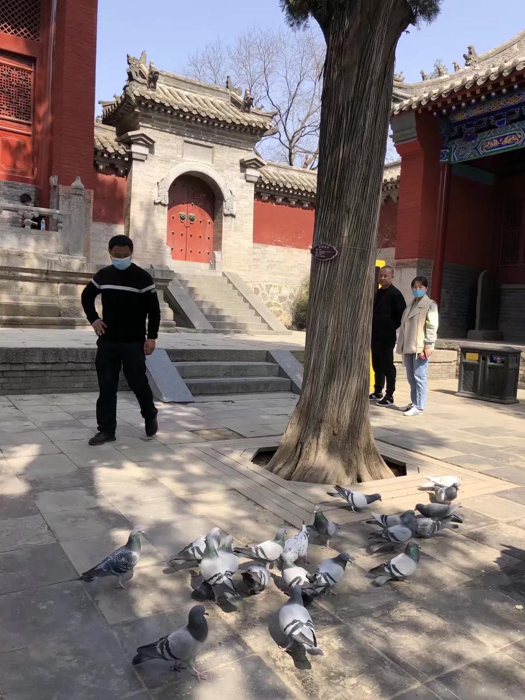 嵩山少林寺文武学校官网,嵩山少林寺怎么报名