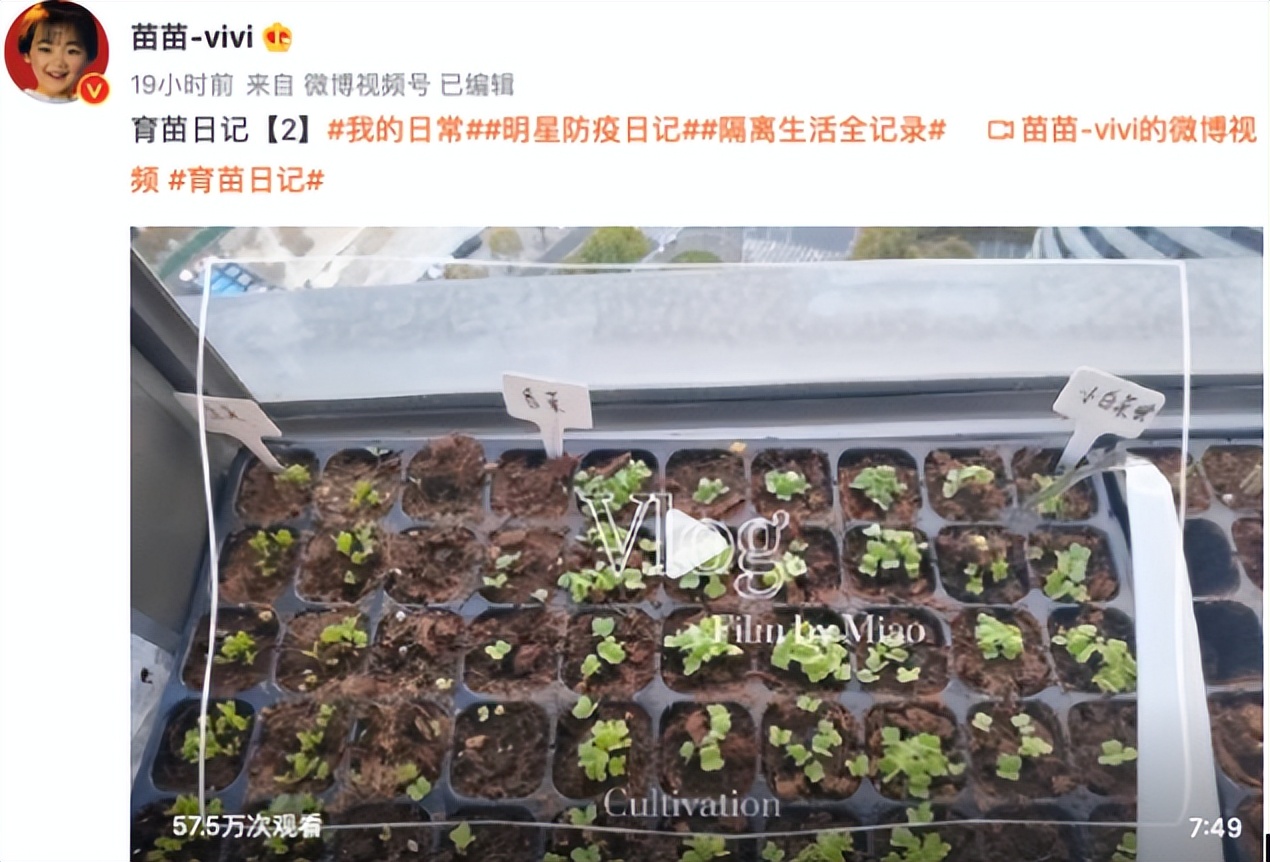 4月份的10个大瓜，一个比一个生猛，逮捕、离婚，应有尽有