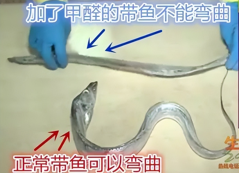 我国癌症高发，都是鱼肉惹的祸？劝告：6种鱼，真的要少吃