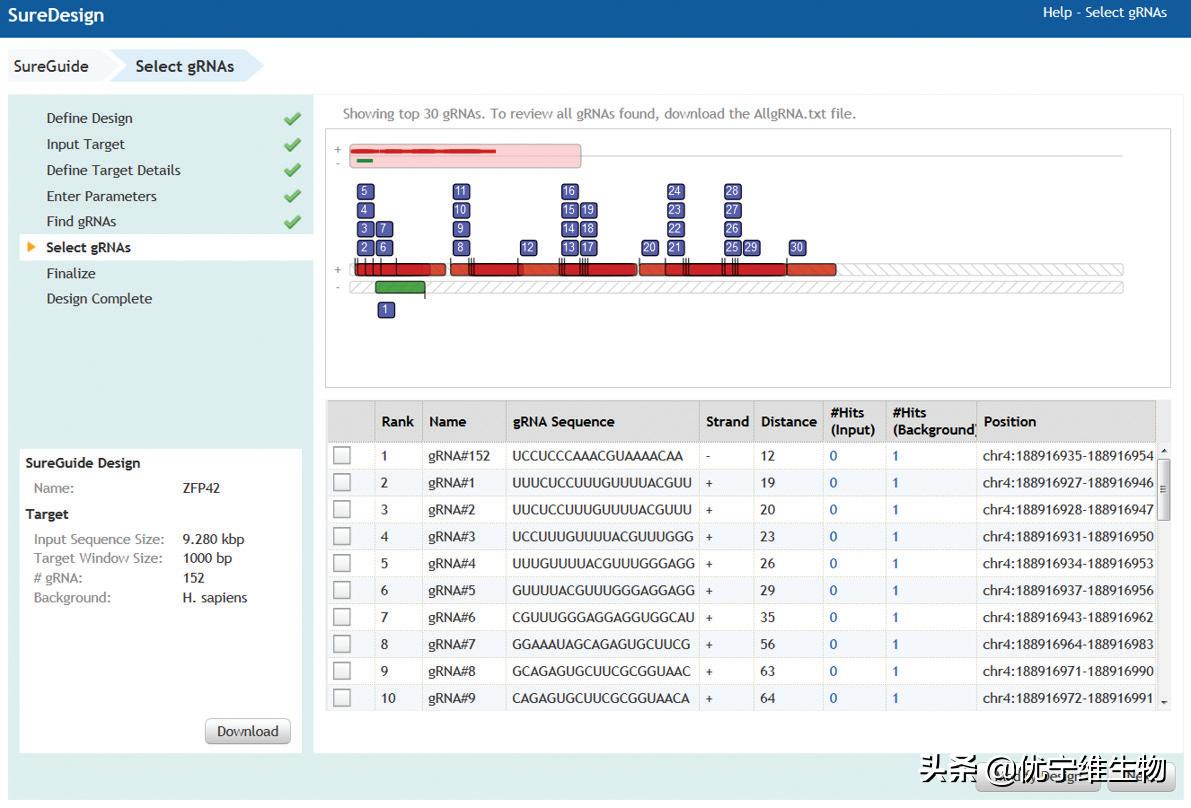 crisprcas9如何设计,crisprcas9应用实例