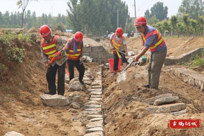 【聚力项目突破推动跨越赶超】计划投资1.5亿元辛庄街道省级现代农业产业园示范基地项目建设高效推进