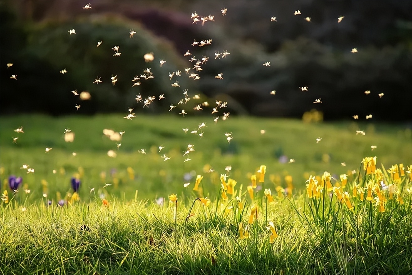 心存善念途中便是晴天,心存善念眼里便是美好感悟