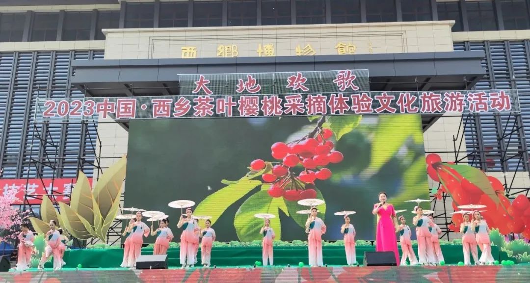 西乡县茶叶镇樱桃采摘,陕西汉中哪里可以摘樱桃