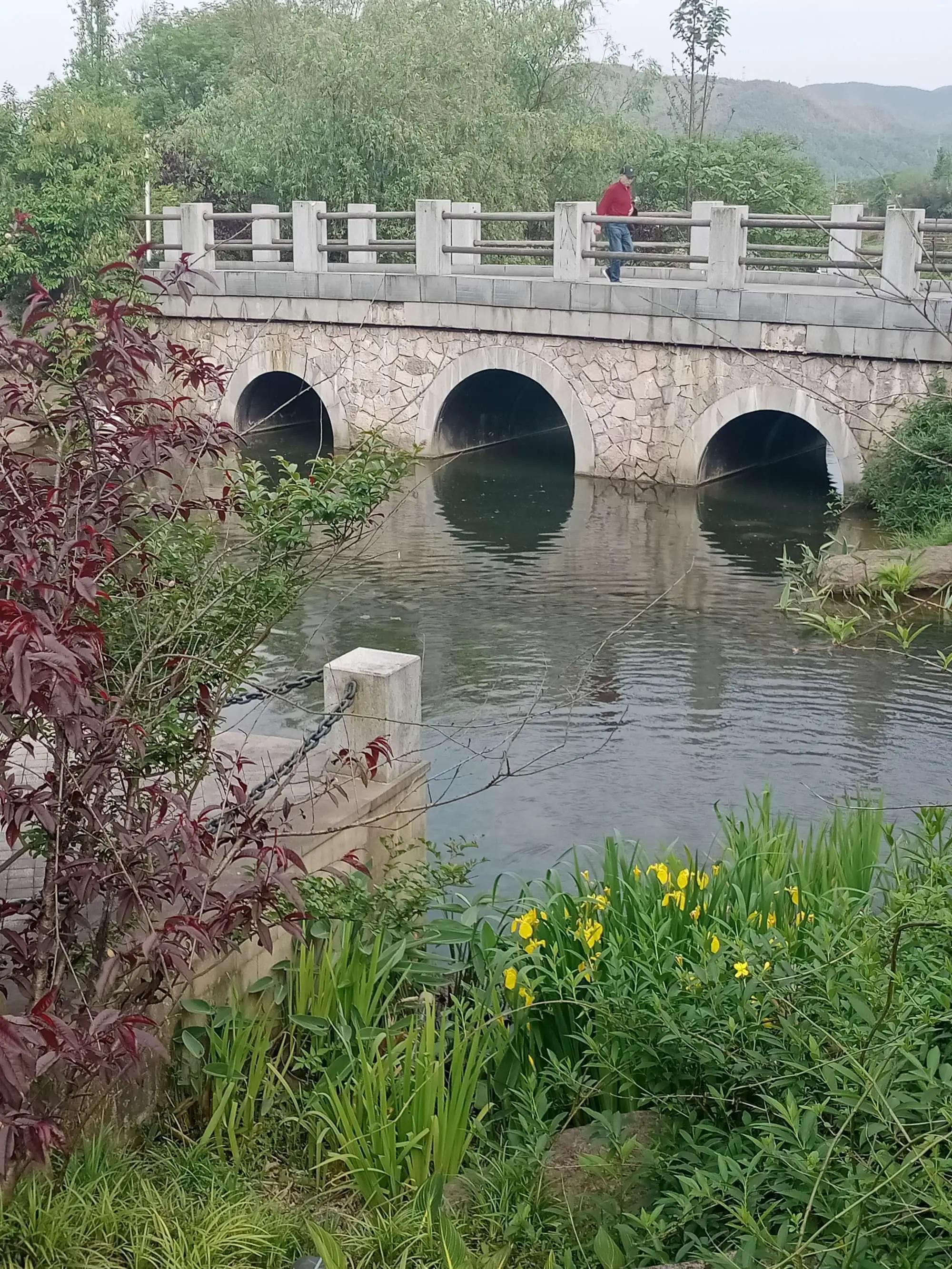 宜昌宜都当阳市组团江南六日游