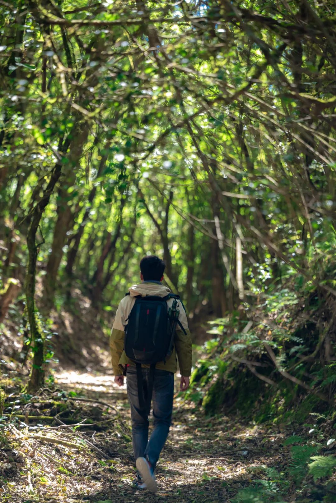 腾冲为什么叫腾冲呢,为什么腾冲值得去