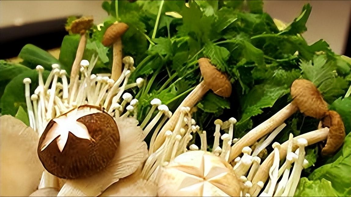 吃肉和吃素谁容易患癌,有人得癌症吃素癌症自然好的吗