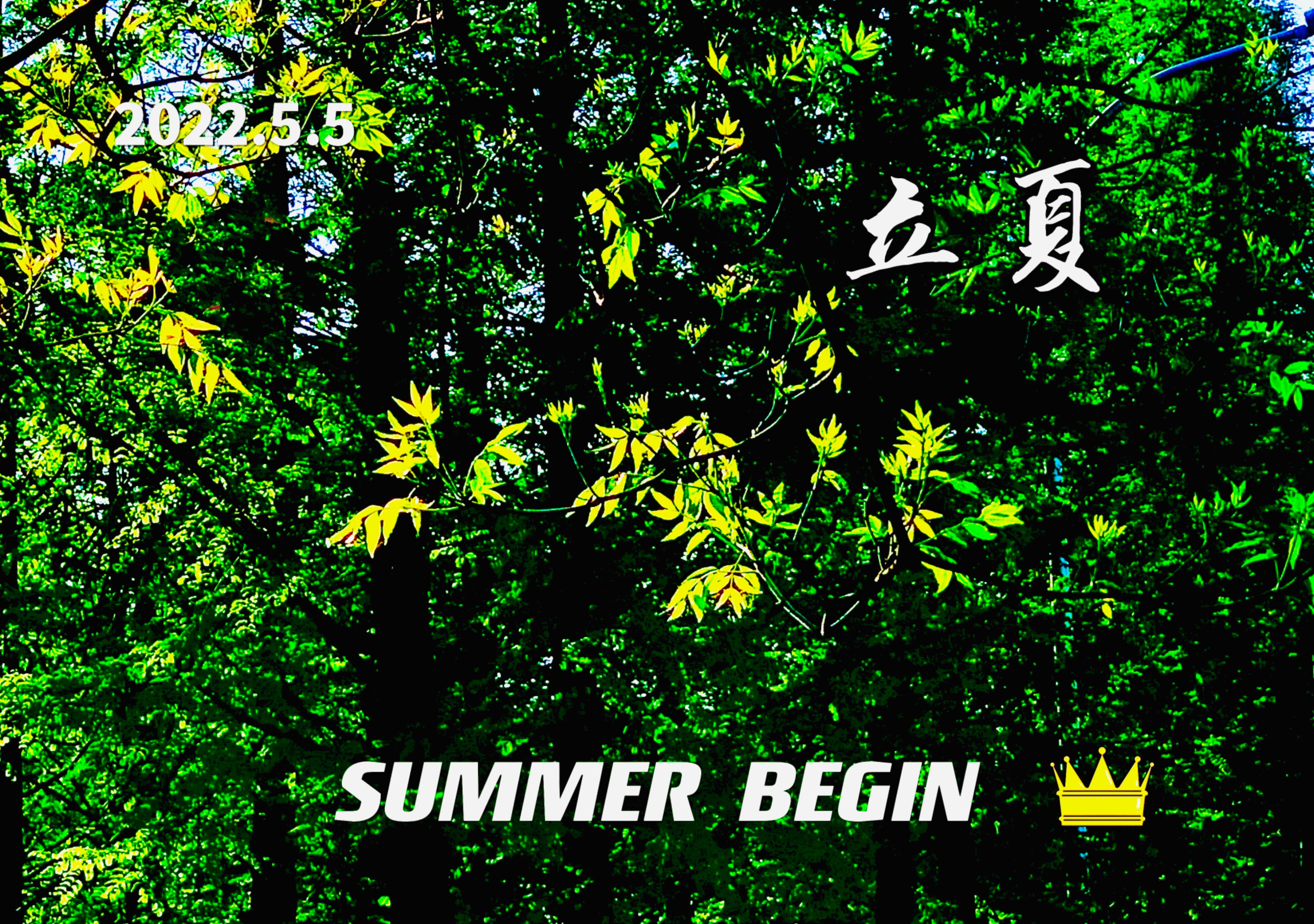 二十四节气立夏歌,二十四节气立夏儿歌歌词