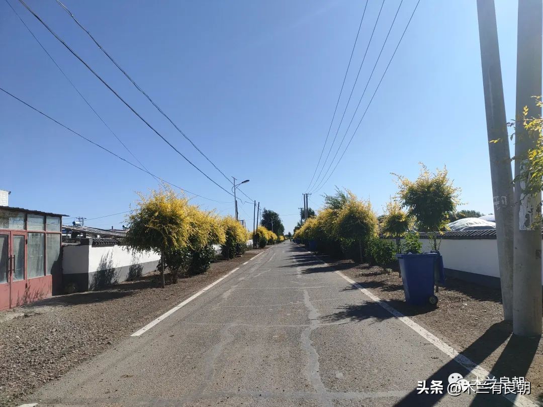 疫情虽然可怕但是我们永不畏惧,疫情依然不容小视