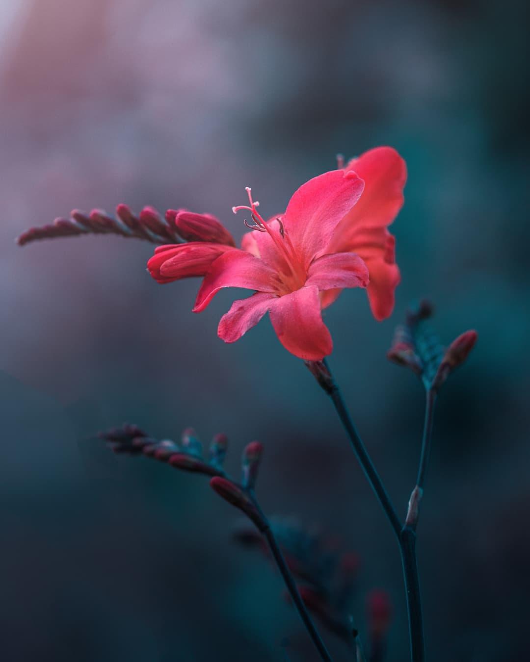 人心凉了很疲惫的伤感说说短句,心力憔悴的唯美句子