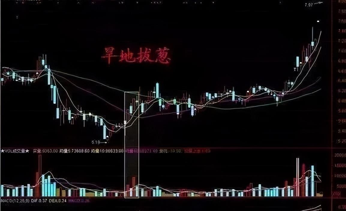 旱地拔葱涨停板,旱地拔葱选股战法