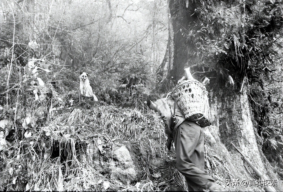 存货整理：我和更桑的雅鲁藏布大峡谷。1998（上）