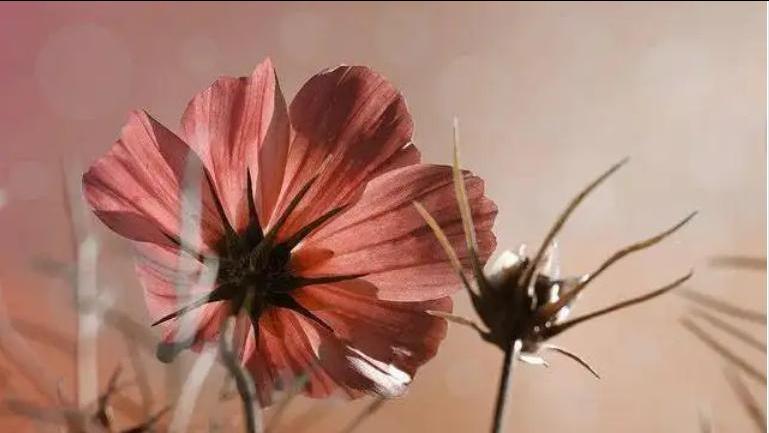 遇到小人别计较,遇到小人要学会反制