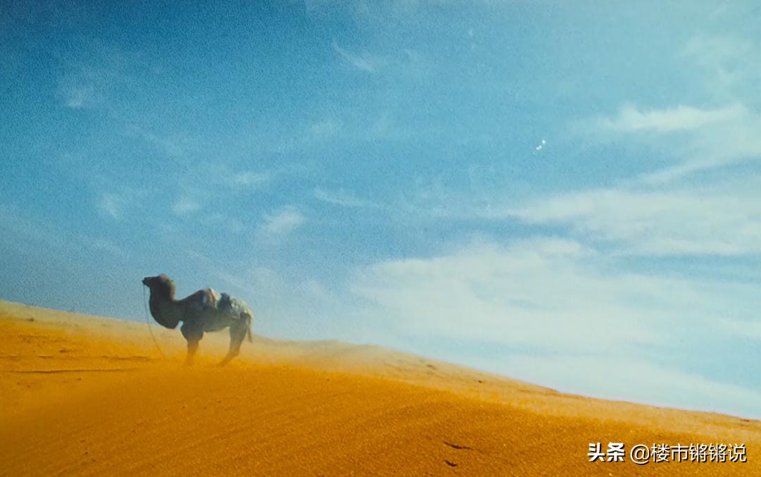 宋卫平回归绿城,宋卫平告别绿城的原因