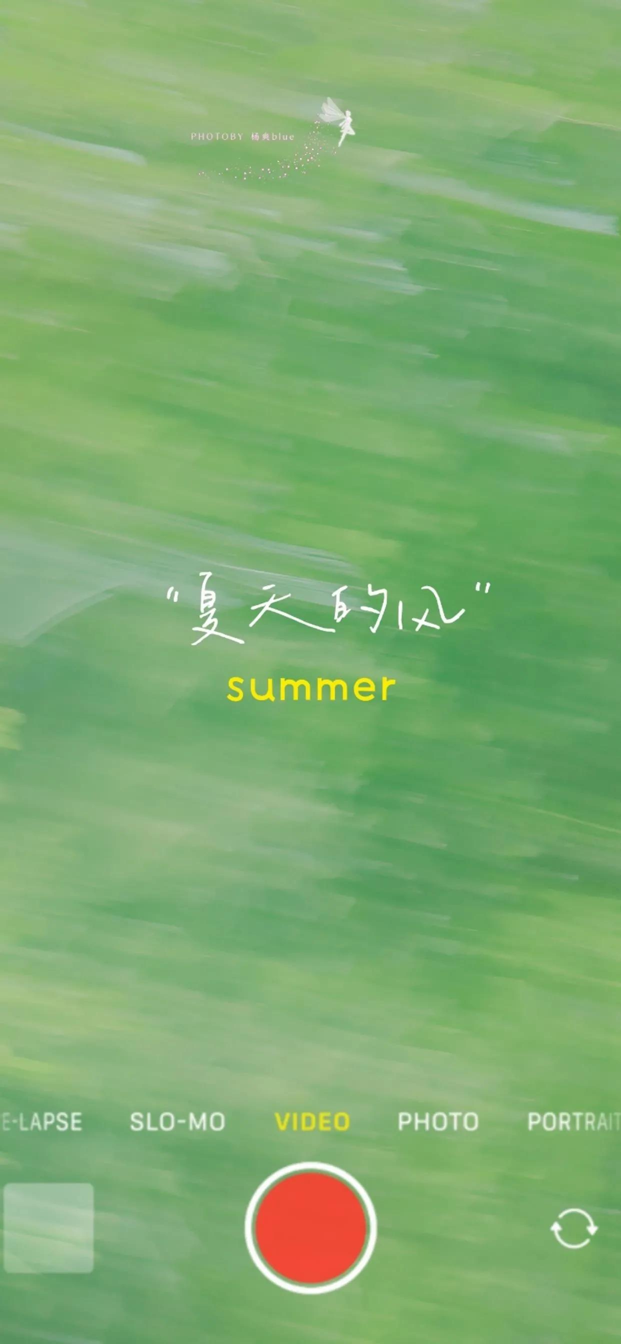 夏季清新凉快的壁纸高清,夏天一看就很凉爽的壁纸