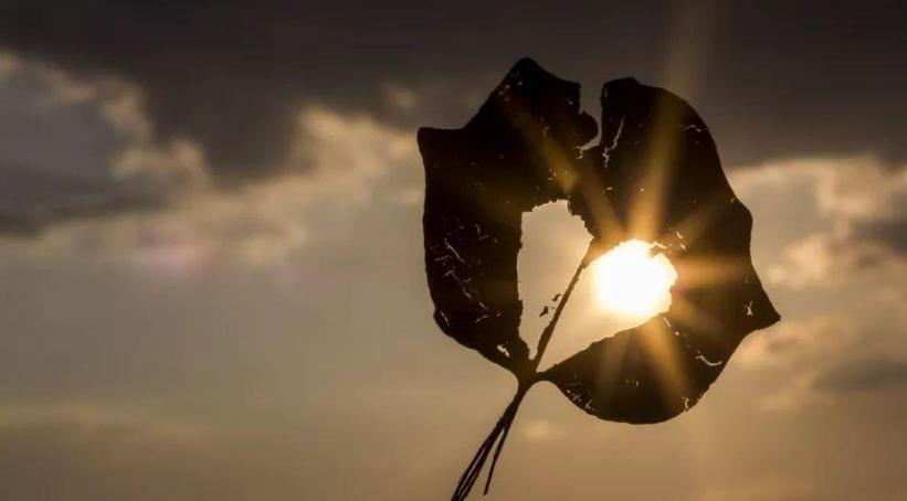 留守儿童被歧视例子,当过留守儿童的人内心都比较自卑