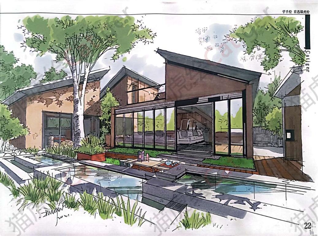 猫虎画,猫虎绘画