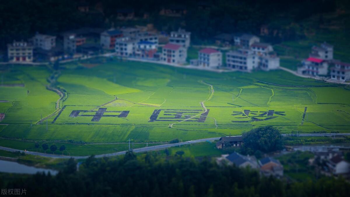 贵州村超联赛火出圈,贵州村超决赛点球大战