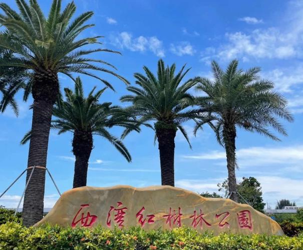 深圳绿色公园,深圳宝安值得去的公园