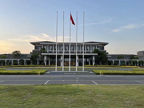 鍒濆涔嬫梾榛勯噾娴峰哺,鍒濆涔嬫梾