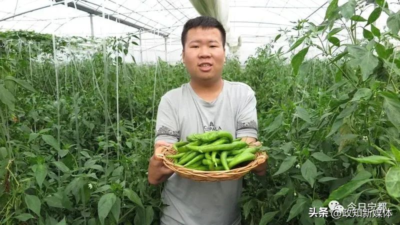 全国团代会几点召开,团代会有哪些人去参加