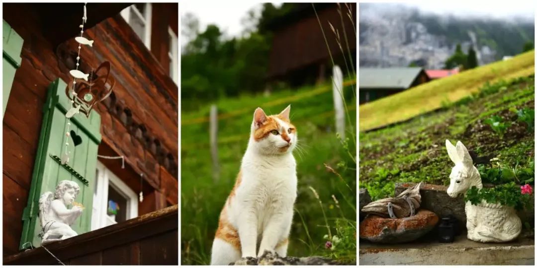 瑞士意大利德国奥地利自驾路线,意大利瑞士奥地利德国自驾游