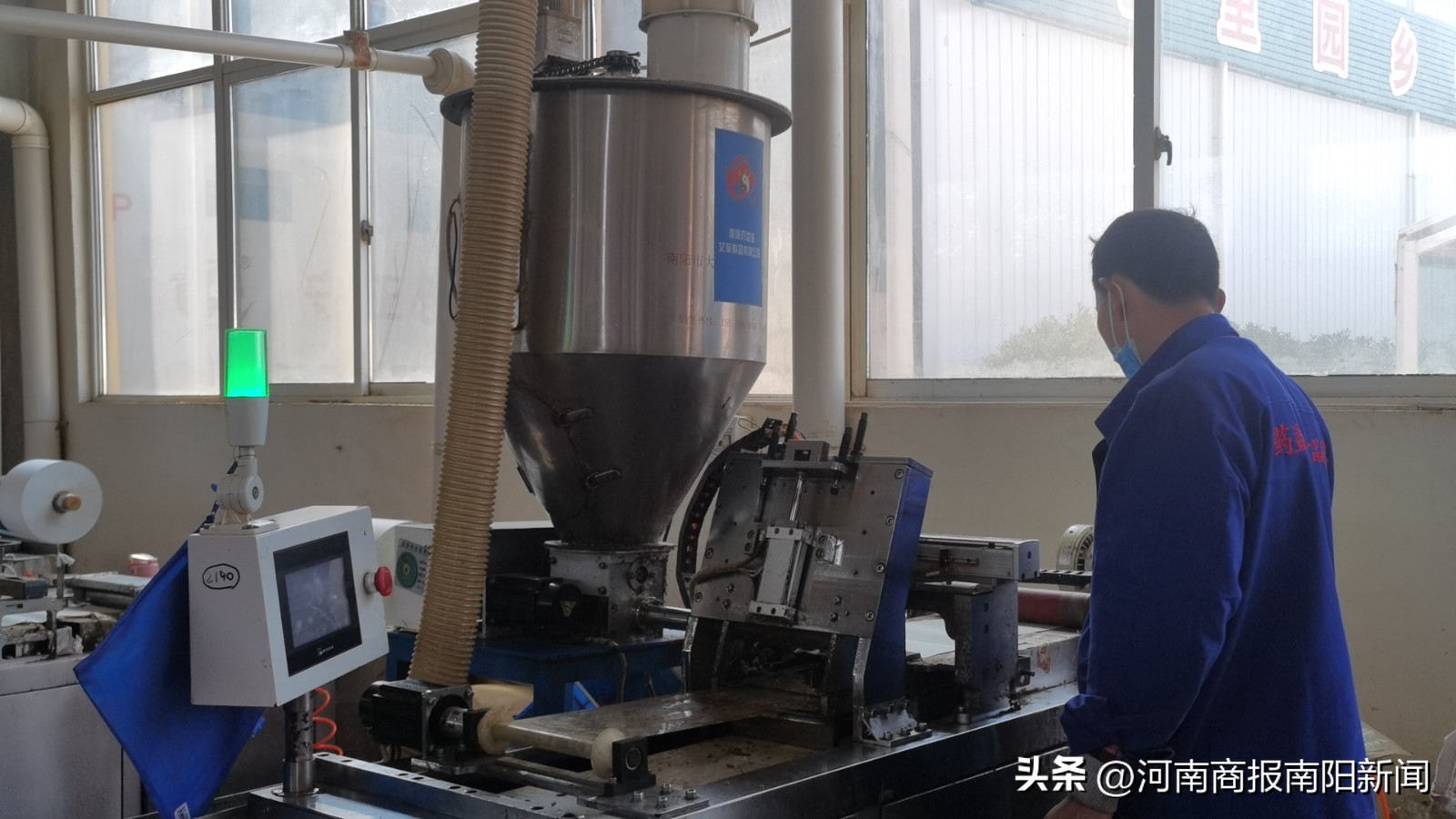 南阳艾草新品种大全,南阳艾草种植的有利自然条件