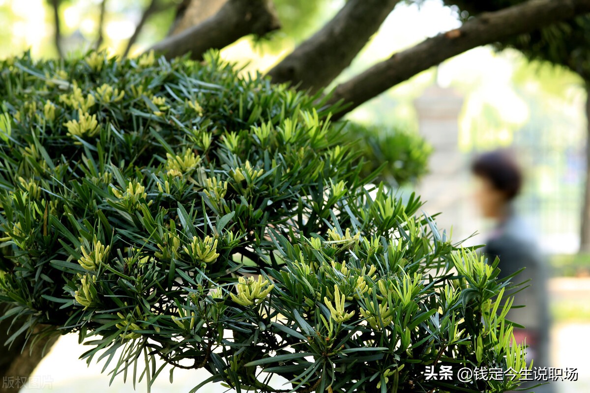 职场做人大气有格局的句子,职场学会隐忍的经典语录