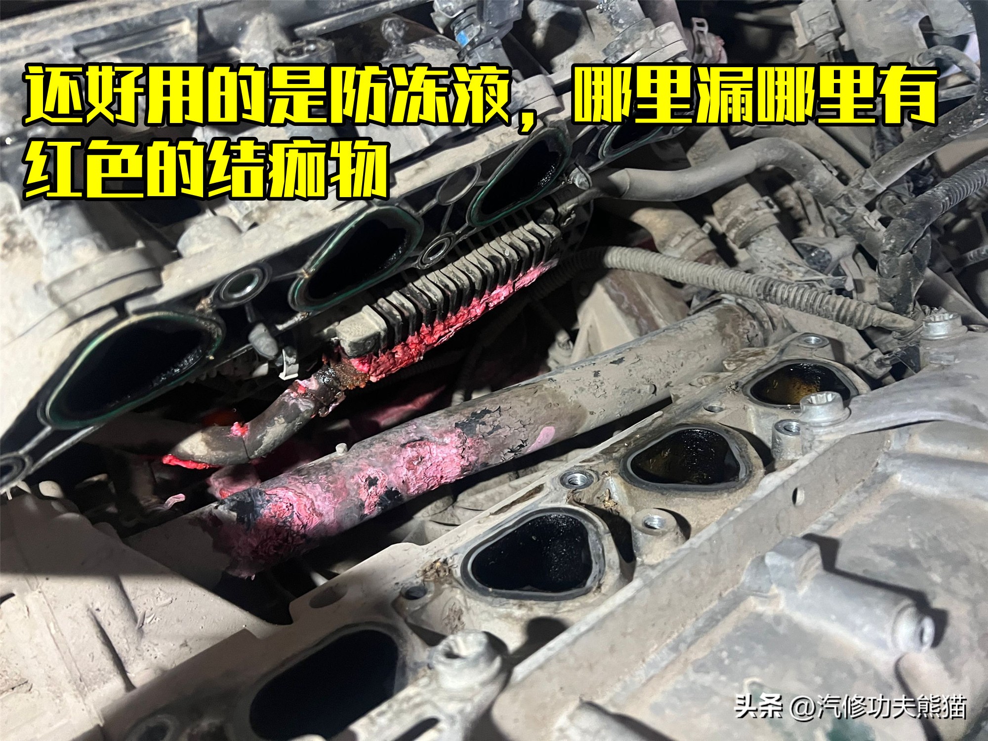 从小学接送到大学,老款朗逸漏水如何彻底解决