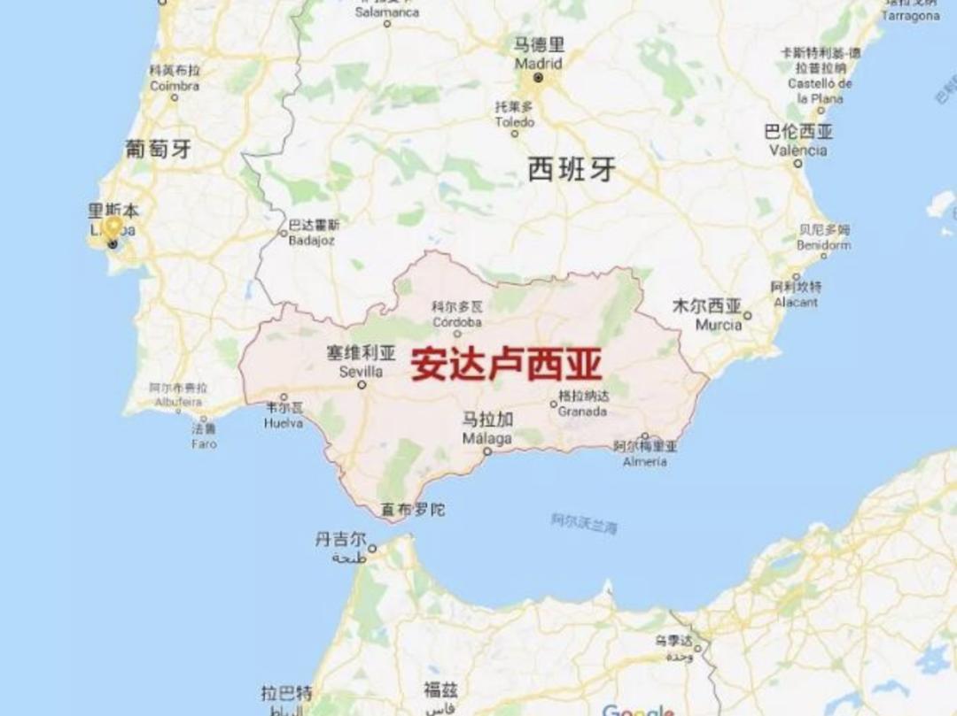 橄榄油的优劣如何判定,橄榄油检测出问题