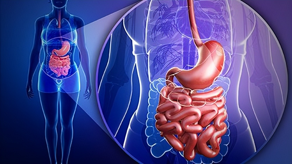 掉牙的人的寿命,小孩掉牙晚和寿命有关系吗