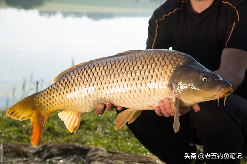 宁波大品牌渔具店有没有钓鱼的,宁波的渔具工厂有哪些品牌