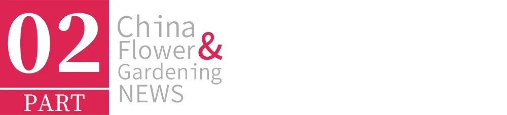 农产品网络电商怎么销售,园艺电商怎么做好销售的