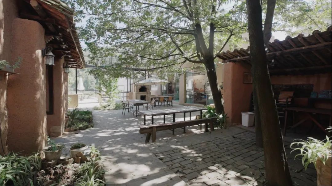 裸辞女教师云南,辞职女教师隐居山村多年