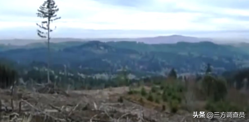 他走进一家算命铺子，就稀里糊涂的少了1600万！美国旧案回顾