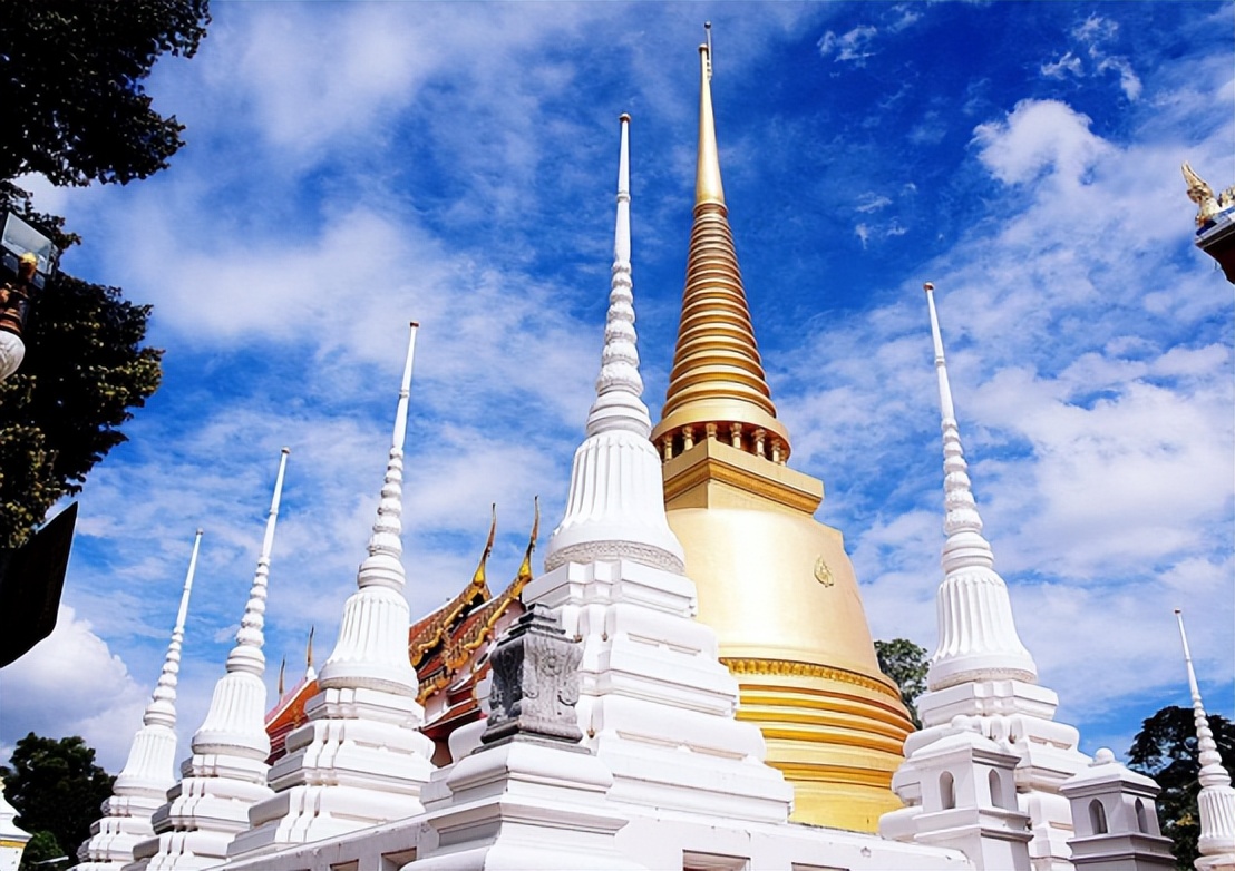 泰国的毒奶服务,泰国毒奶服务