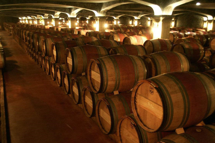 梅洛哪款葡萄酒好喝,没喝过梅子酒会怎么样