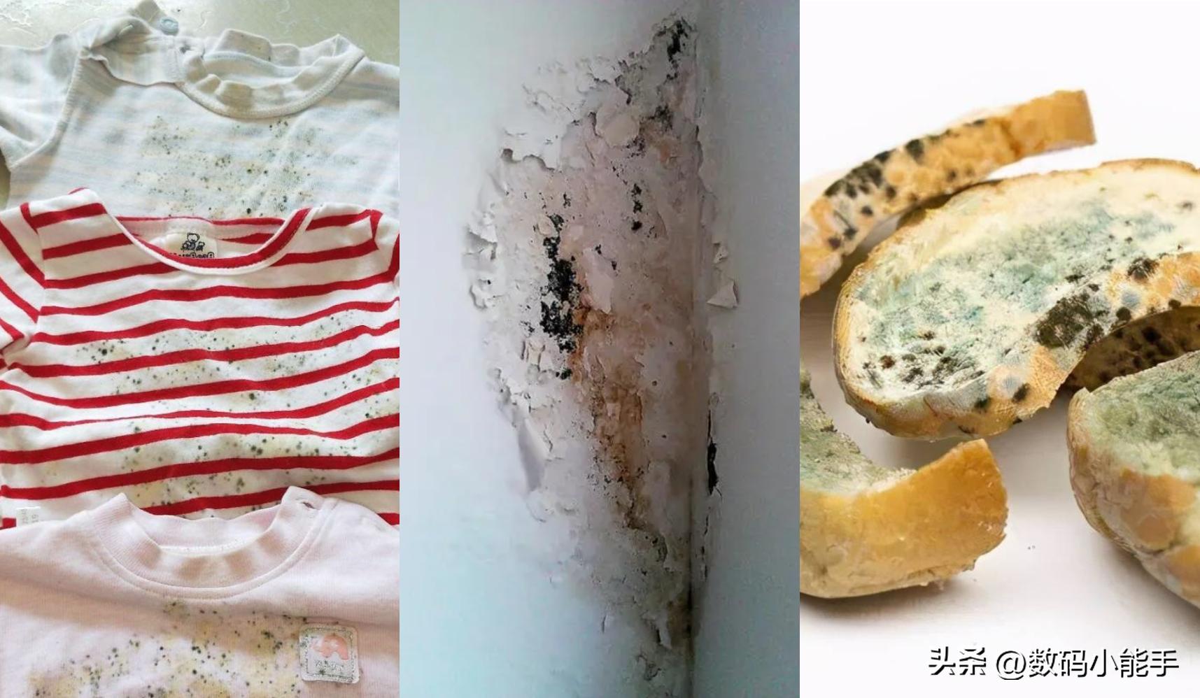 除湿防潮机是不是智商税,除湿机是不是智商税