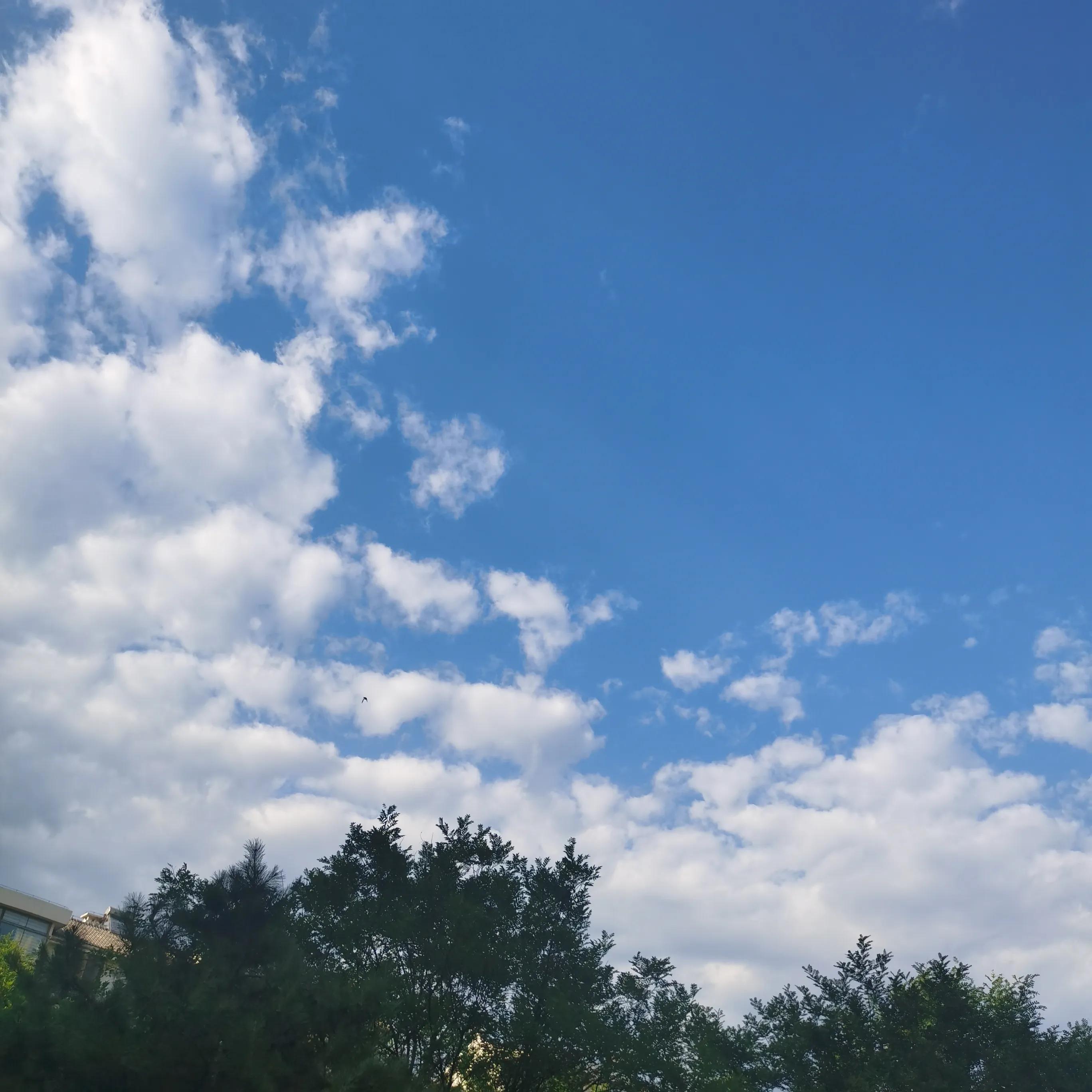 京杭大运河在哪里穿过黄河,京杭大运河怎么过长江的