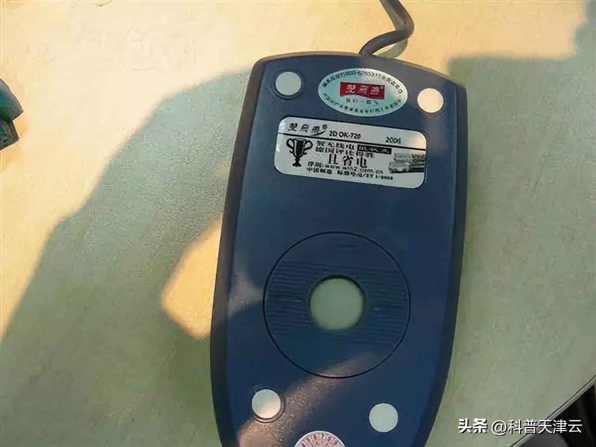 鼠标进化,鼠标如何变各种各样的鼠标