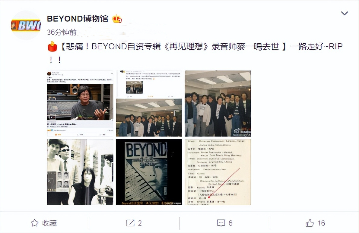 仅仅3天，娱乐圈的瓜就这么生猛？失联、家暴、诈骗，应有尽有