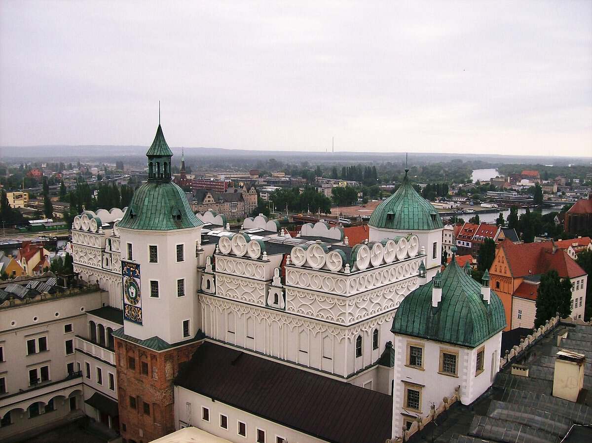 波兰一流浪猫成5星旅游景点,一只流浪的大肥猫